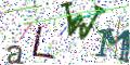 图形验证