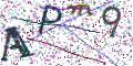 图形验证