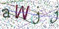 图形验证