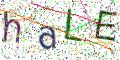 图形验证