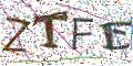 图形验证
