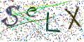 图形验证