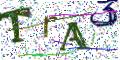 图形验证