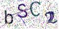 图形验证