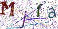 图形验证