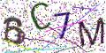 图形验证