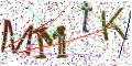 图形验证