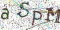 图形验证