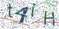 图形验证