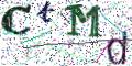 图形验证