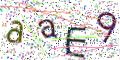 图形验证