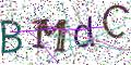 图形验证