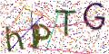 图形验证