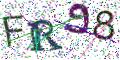 图形验证