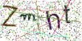 图形验证