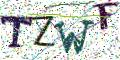 图形验证