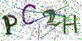 图形验证