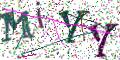 图形验证