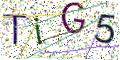 图形验证