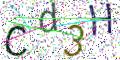 图形验证