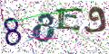 图形验证