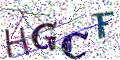 图形验证