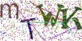 图形验证