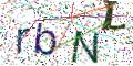 图形验证