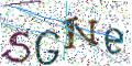 图形验证
