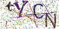图形验证