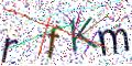 图形验证
