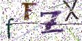 图形验证