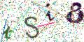图形验证