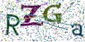 图形验证