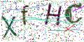 图形验证