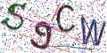 图形验证