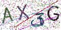 图形验证