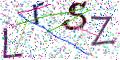 图形验证
