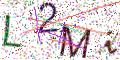 图形验证