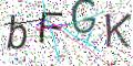 图形验证