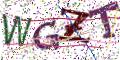 图形验证