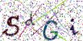 图形验证