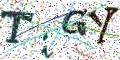图形验证