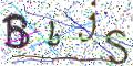 图形验证