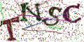 图形验证