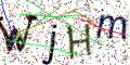 图形验证