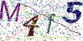 图形验证