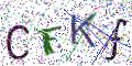 图形验证