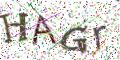 图形验证