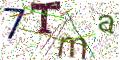 图形验证